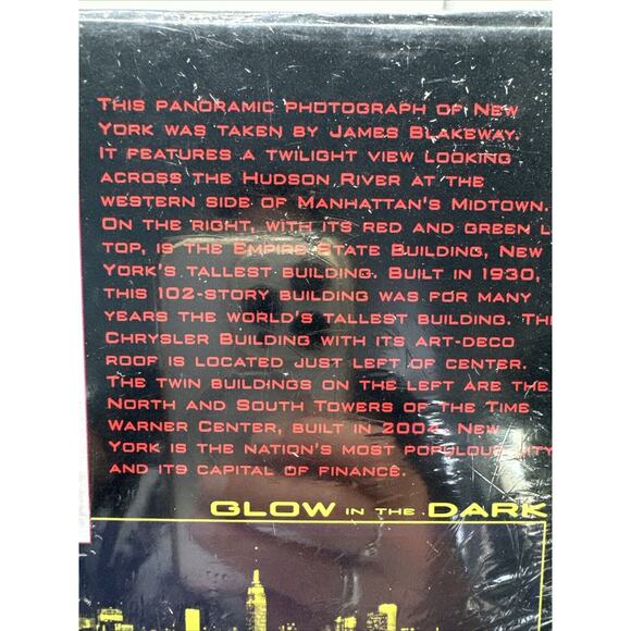 New York City NY 750 Piece Panoramic Jigsaw Puzzle Glow in the Dark TWIN TOWERS - Picture 8 of 8